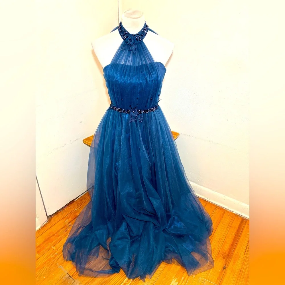 Gorgeous Jeweled Evening Gown Dress - Picture 1 of 16